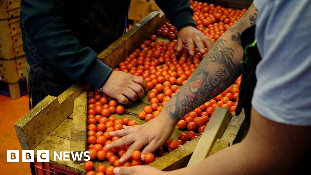 Trump prices: businesses in the world respond