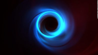 Photo of The first image of a black hole supports Einstein’s theory of relativity