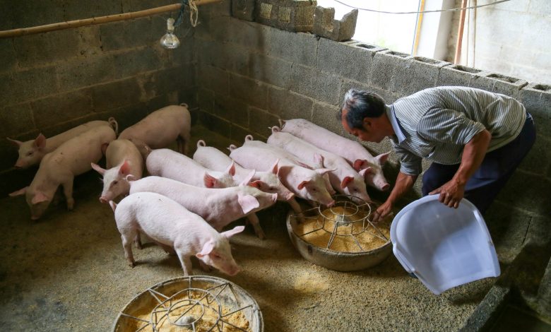Pork prices in China are rising at the slowest pace in more than a year