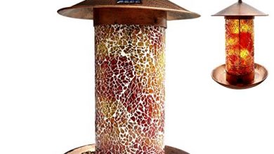 Photo of 30 Bird Feeders Reviews With Well Researched Buying Guide
