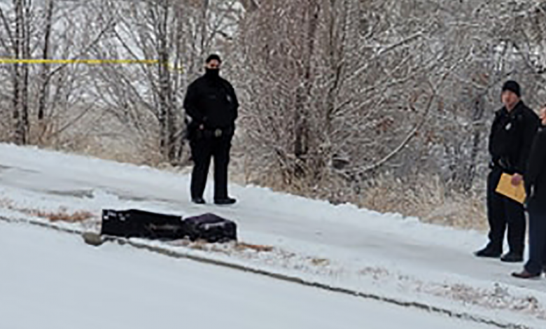 An investigation is underway after the remains of a man were found in suitcases near a driveway in Denver