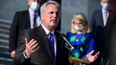 Photo of Kevin McCarthy supports the attempt by the Texas Supreme Court to overturn Biden’s victory