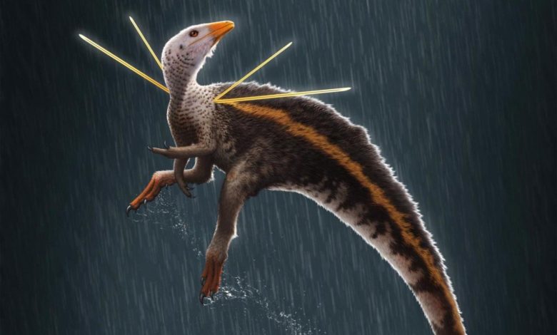 Scientists are fascinated by strange dinosaur discoveries
