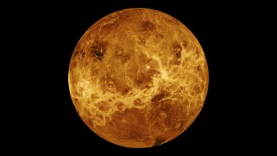 Photo of In the atmosphere of Venus, it is not phosphine but sulfur dioxide: the possibility of life diminishes