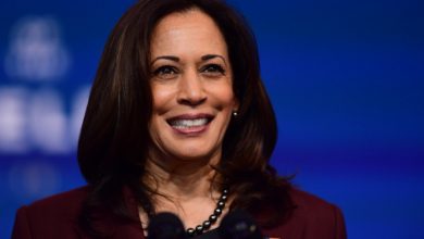 Photo of This is Kamala Harris, Vice President of the United States