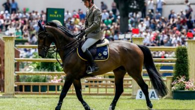Photo of Horse riding is one of the sports most affected by the epidemic.  The season is still at stake between postponements and cancellations – OA Sport