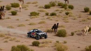 Photo of Two women in the next Dakar, held in Saudi Arabia