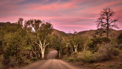 Photo of Parachelna, the southern Australian country where only six people live