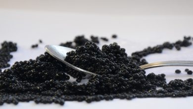 Photo of United Kingdom: Chinese caviar has been denounced as Russian or Iranian