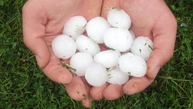 Photo of Weather – Hail storm hits West Virginia, United States.  There are damages, details