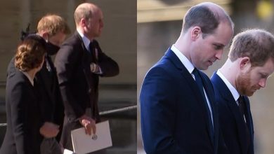 Photo of Filippo’s funeral, Harry and William talking to each other: Tears of the Queen
