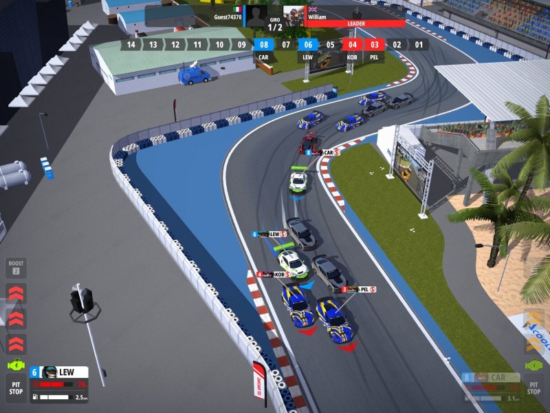 GT Manager allows you to watch the races in one form or another, with good graphical detail