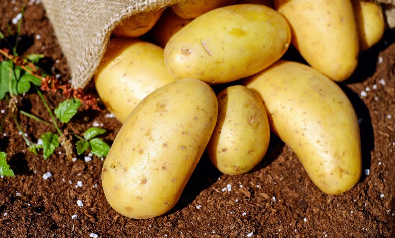 Very simple tricks to peel hot potatoes in two minutes without burning your fingers