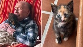 Grandpa turns 100 and makes a special friendship with a newly adopted cat