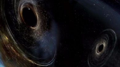 Photo of Gravitational waves recorded from black holes merging with neutron star debrisترون