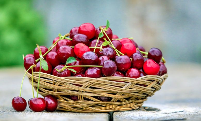 An ingenious trick for digging up cherries using a simple pipette