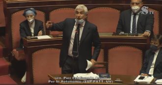 In the Senate, the attack on the citizenship income of Pier Ferdinando Cassini, a permanent member of Parliament since 1983