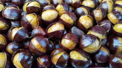 Photo of Chestnuts in the air fryer in two versions