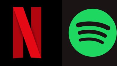 Photo of Spotify makes space for Netflix fans with the Netflix Hub
