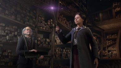 Photo of Dumbledore’s secrets in late 2022?  – Multiplayer.it