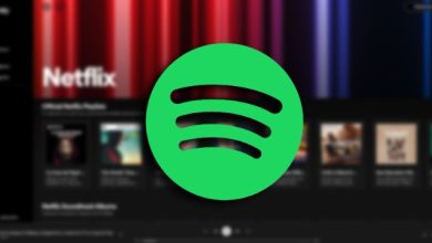 Photo of From Today, Netflix Music Finds a Home on Spotify: Here’s How and Why