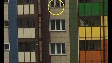 Photo of Shock penalty: a cat scratches the owner and shuts him outside the window on the 14th floor of the building