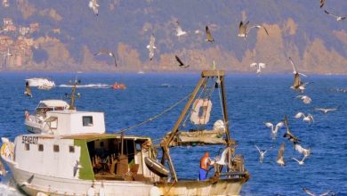 Photo of France: British fishing boat seized, post-Brexit fishing rights dispute
