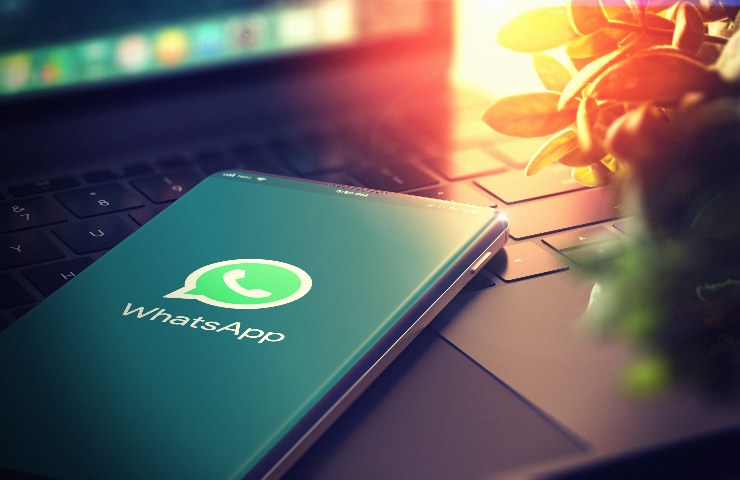 How to see the last login of Whatsapp