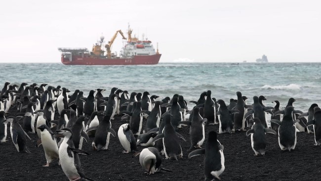 United kingdom.  The Royal Navy makes a rare visit to the remote South Atlantic island chain to study penguins (A. Martinengo)