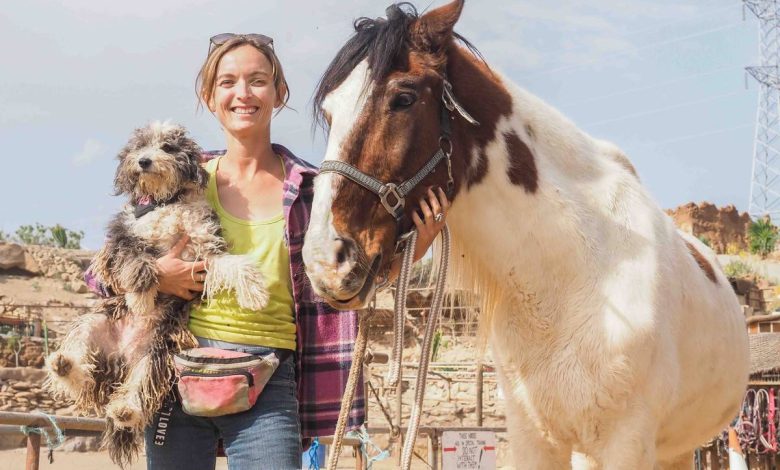 Tenerife Horse Rescue: Where horses are reborn