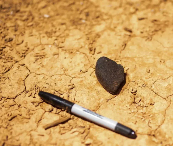 The meteorite found in the Australian desert: It is an object weighing 70 grams.