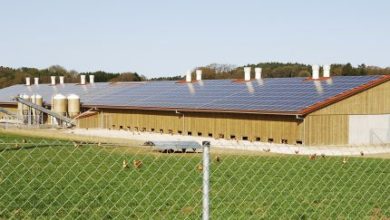 Photo of Green light for agricultural photovoltaic incentives