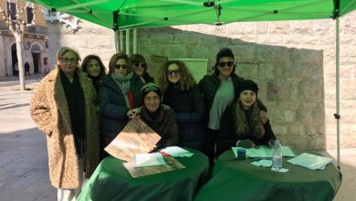 Photo of Already 70 joined the “Il Raggio Verde” initiative