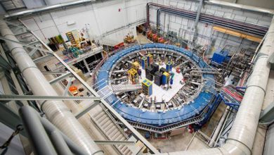 Photo of Rubbia’s W boson mass is ‘larger than expected’.  What could change for this matter?  – Corriere.it –