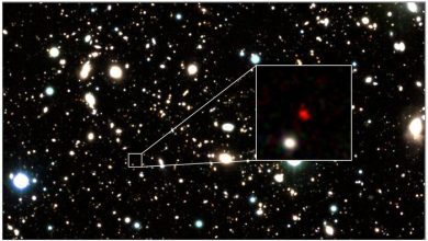 Photo of The farthest galaxy has been discovered, it is 13.5 billion light-years away