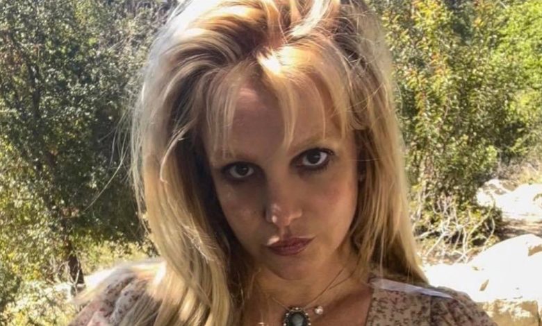 US Congress invites Britney Spears to talk about legal safeguards: "I have discovered troubling issues"