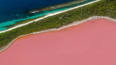 Photo of Western Australia where the lakes are pink