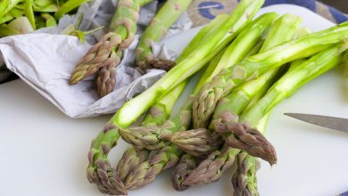 Photo of Asparagus solves the mystery of the smell of urine?  Latest Scientific Hypothesis – Libero Quotidiano