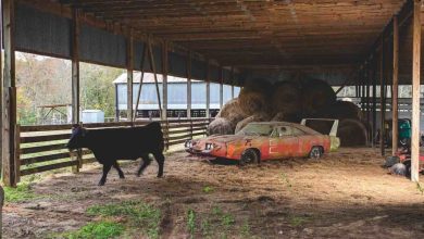 Photo of Abandoned in a barn after being used as a “tractor”