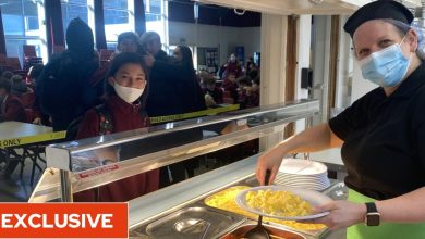 Photo of The school that offers the UK’s first vegetarian cuisine says the vegetarian menu has attracted new students to join