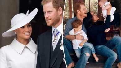 Photo of Prince Harry and Meghan Markle host Lillipet’s ‘cozy’ first birthday party
