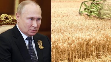 Photo of Putin, the secret plan to undo the sanctions.  Yale University Professor: He wants a global famine