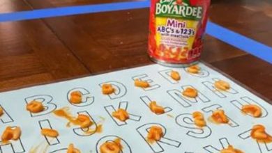 Photo of The United States arranges the letters of the “alphabet soup” in two minutes: it’s Guinness World Records