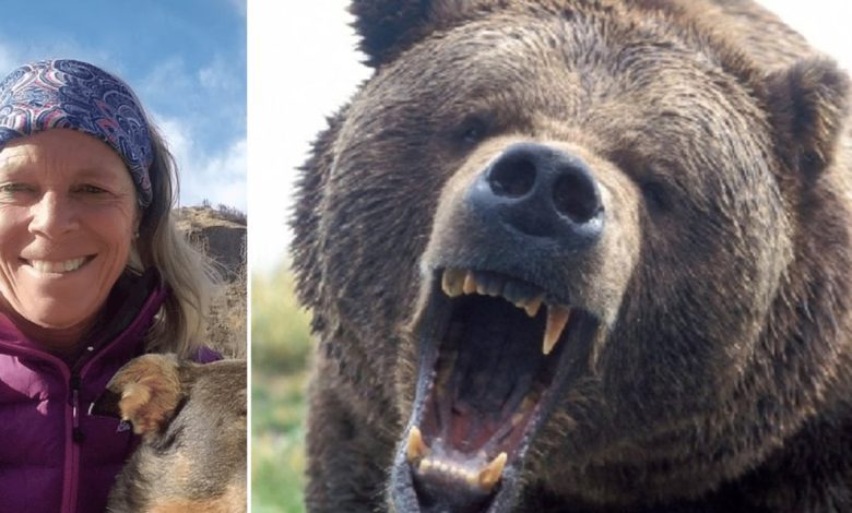 A woman scares a bear on a camping trip, and the animal comes back later and rips it apart