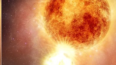 Photo of The wounded star Betelgeuse, living healing – space and astronomy