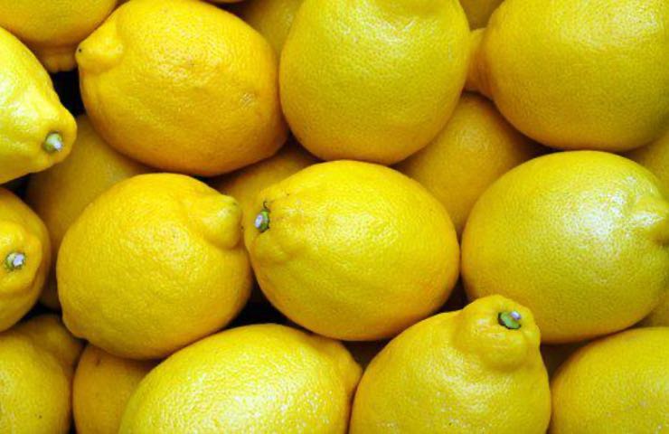 Yellow compost lemon fruit
