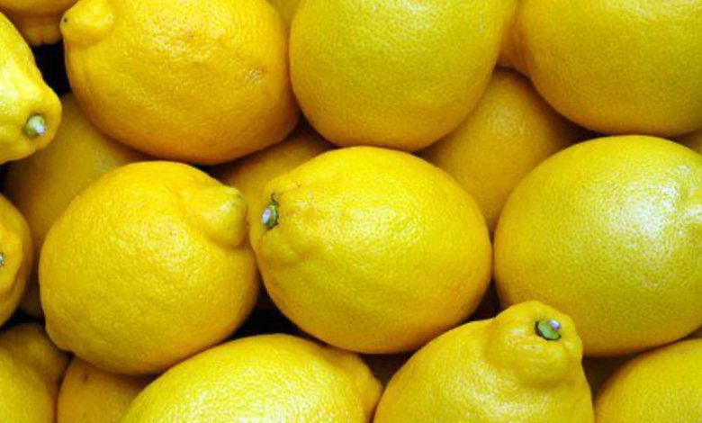 Lemons fertilized in this way will bear fruit all year round: the secret