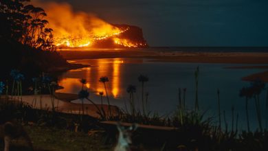 Photo of Australia, bushfires linked to largest stratospheric warming in three decades
