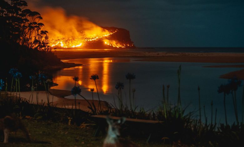 Australia, bushfires linked to largest stratospheric warming in three decades