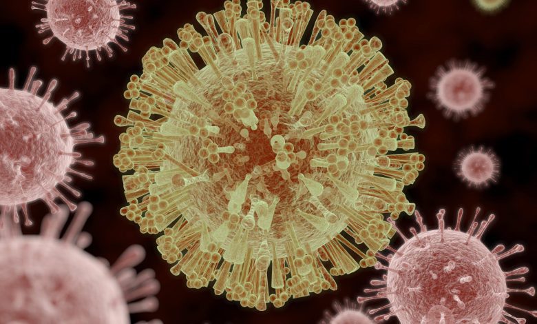 Global warming and viruses 'more dangerous than half of infectious diseases'